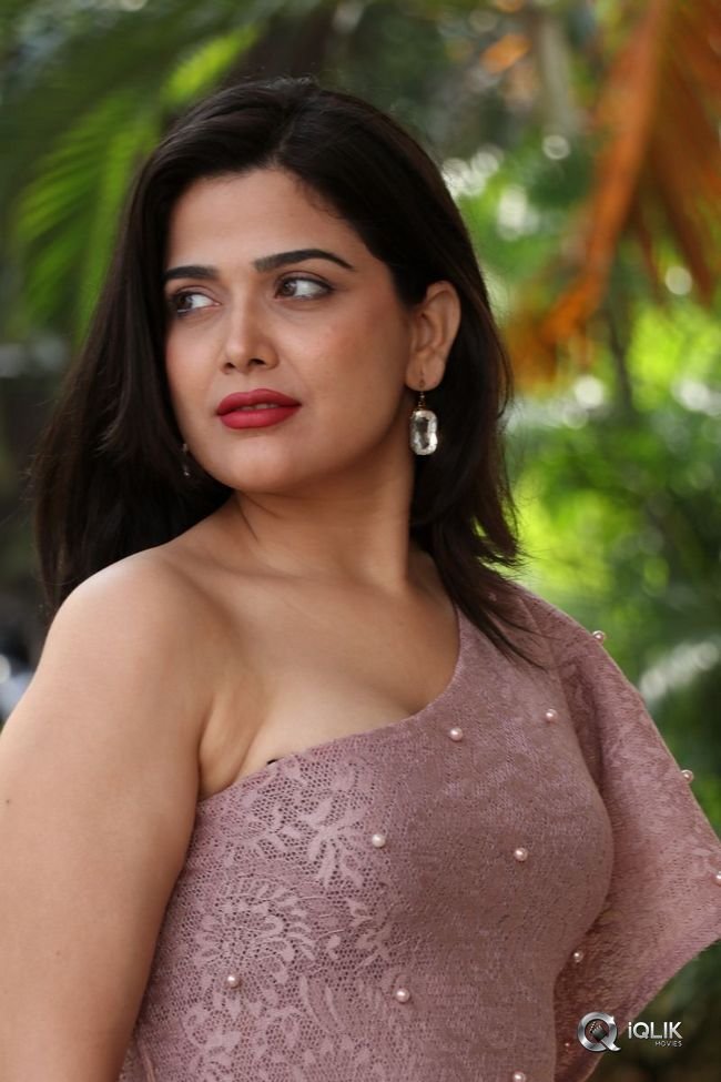 Ayesha-Singh-at-Yedu-Chepala-Katha-Movie-Prees-Meet
